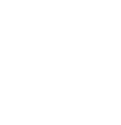 AIPass logo